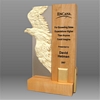 Engraved Acrylic Awards